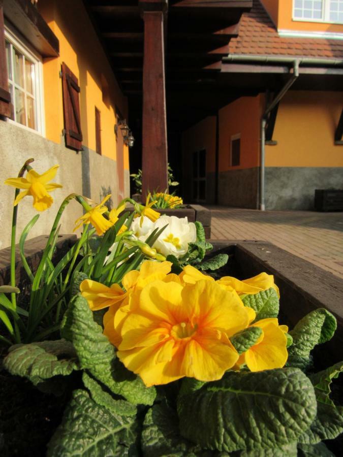 Maison D'Hotes La Ferme Pierre*** Donnenheim Dış mekan fotoğraf