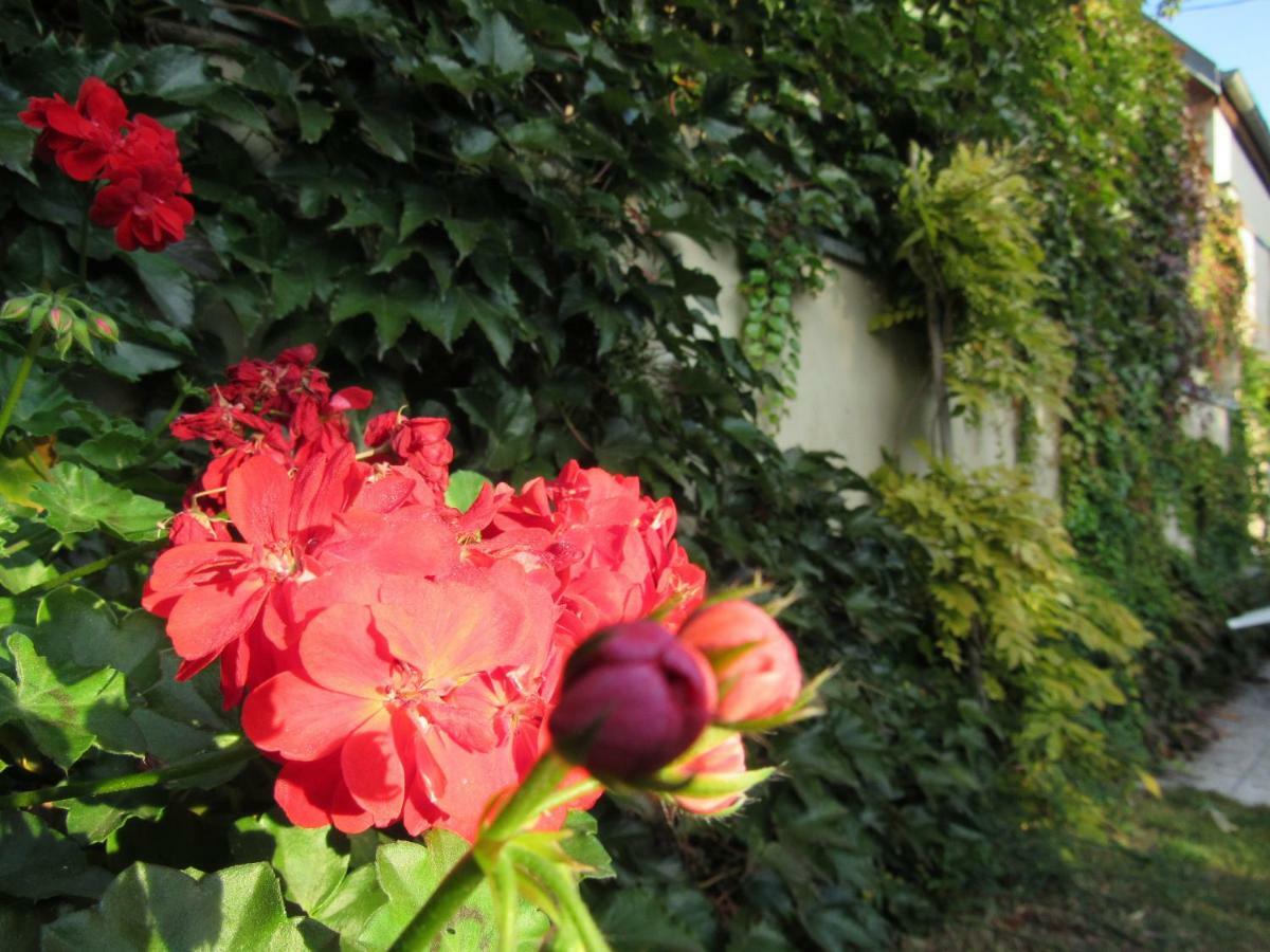 Maison D'Hotes La Ferme Pierre*** Donnenheim Dış mekan fotoğraf
